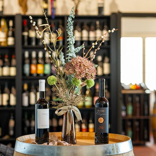Plozza Wine Group SA